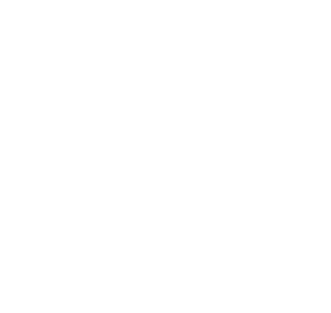 PlayPet