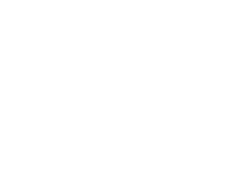 Pet Society